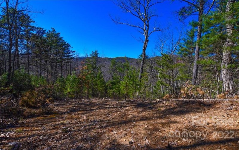 Property image 3 at 3953 Skyline Drive, Morganton, NC 28655