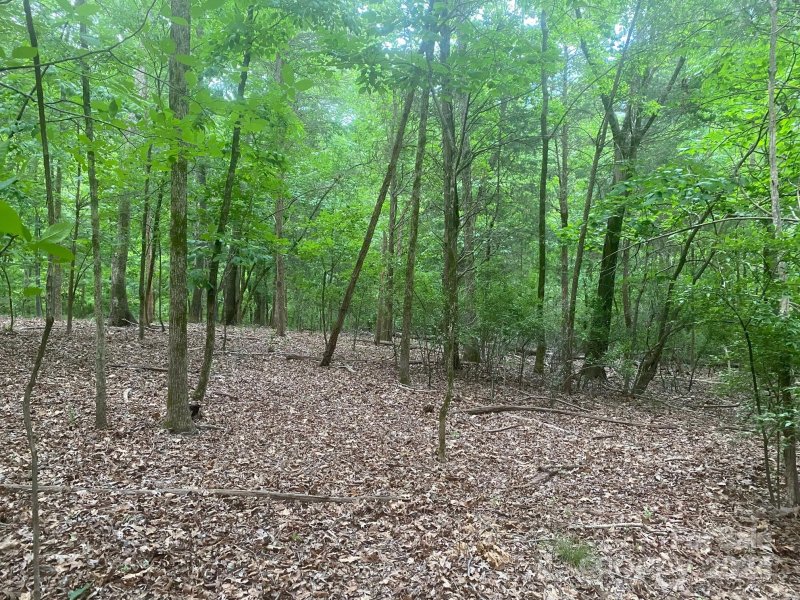 Property image 2 at 10601 Wildlife Road, Charlotte, NC 28278