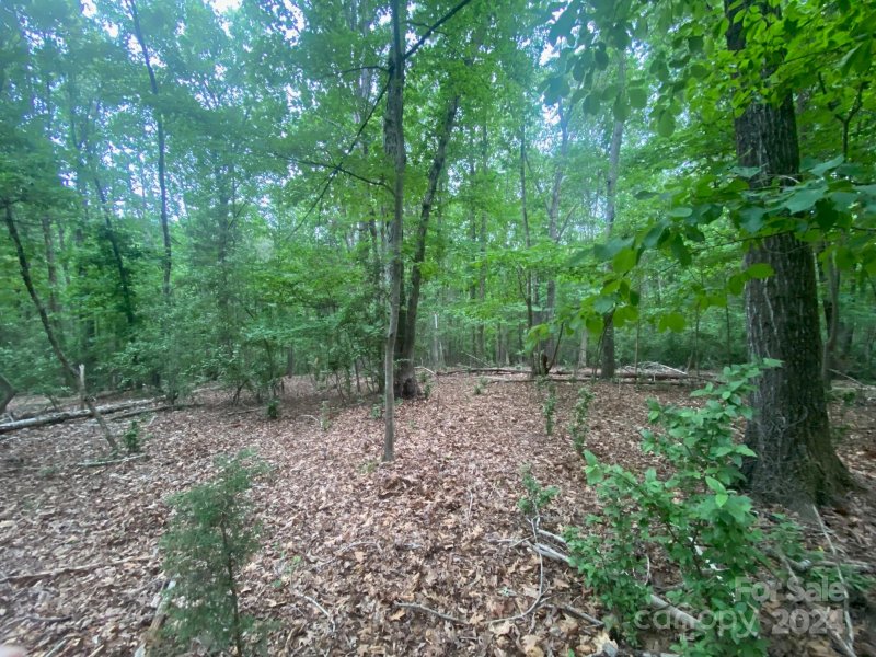 Property image 3 at 10601 Wildlife Road, Charlotte, NC 28278