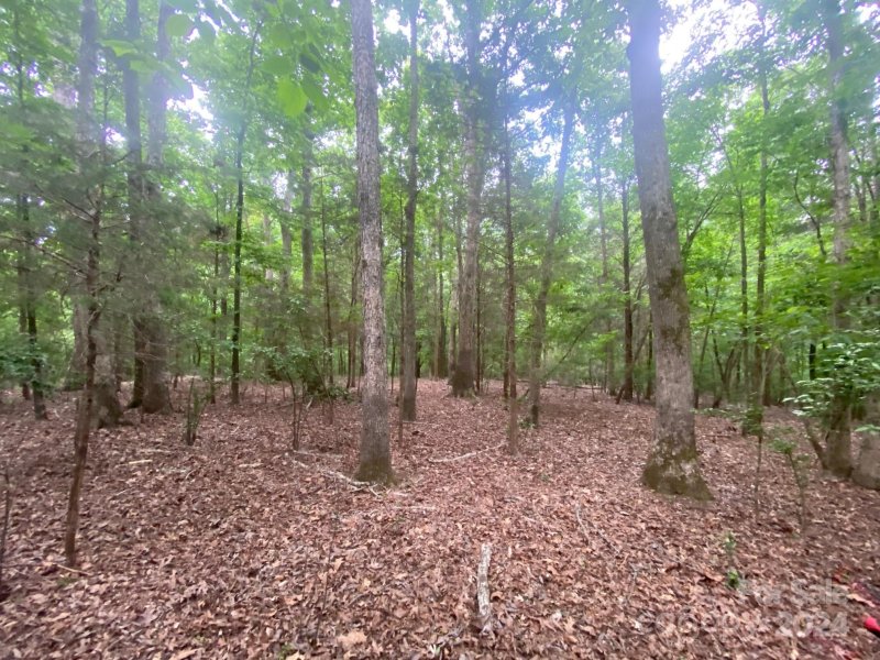 Property image 4 at 10601 Wildlife Road, Charlotte, NC 28278