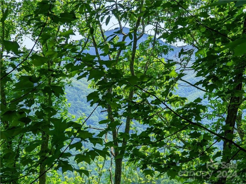 Property image 3 of 11 Trout Lily Lane in Scarlet Oaks, Maggie Valley, NC 28751