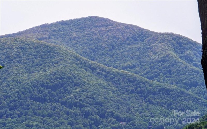 Property image 4 of 11 Trout Lily Lane in Scarlet Oaks, Maggie Valley, NC 28751