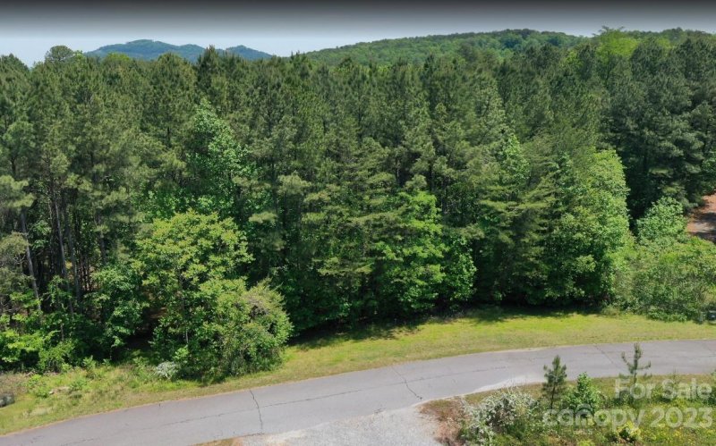 Property image 3 at Lot 53 Cozy Lane, Lake Lure, NC 28746