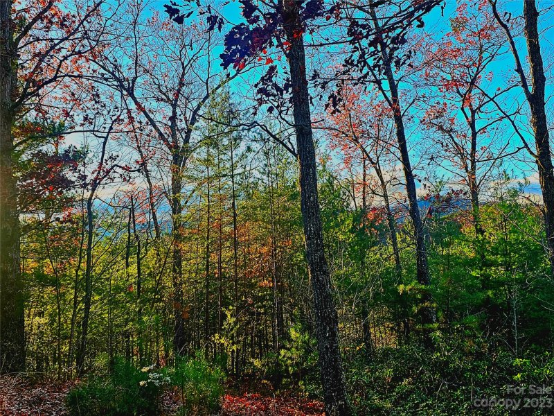 Property image 2 at Lot 31 Peaks Drive, Lake Lure, NC 28746