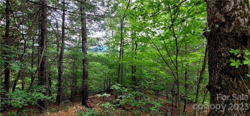 Property image 5 at Lot 31 Peaks Drive, Lake Lure, NC 28746