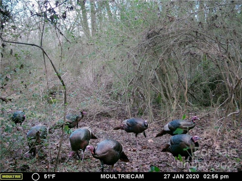 Property image 4 at 743 Cove Road, Gastonia, NC 28052