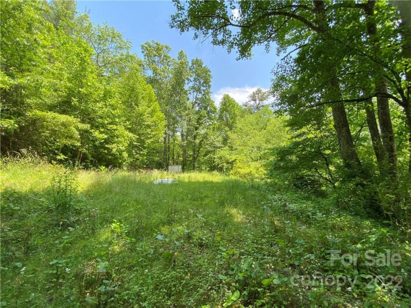 Property image 3 at 292 Gobbler Circle, Horse Shoe, NC 28742
