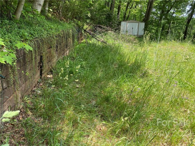 Property image 4 at 292 Gobbler Circle, Horse Shoe, NC 28742