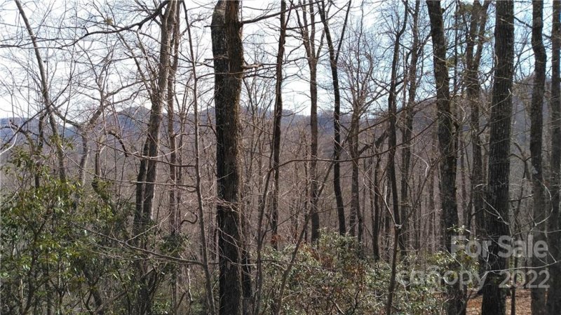 Property image 2 at Lot 26 Crooked Creek Estates Drive, Old Fort, NC 28762