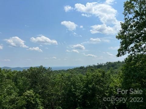 Property image 2 at 1182 Arbra Mountain Way, Bostic, NC 28018