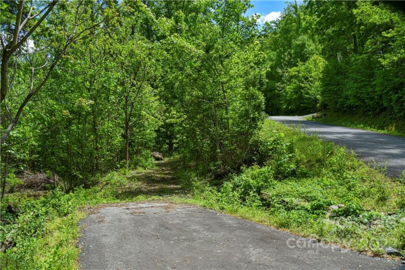 Property image 3 at 22 Chesten Mountain Drive, Asheville, NC 28803