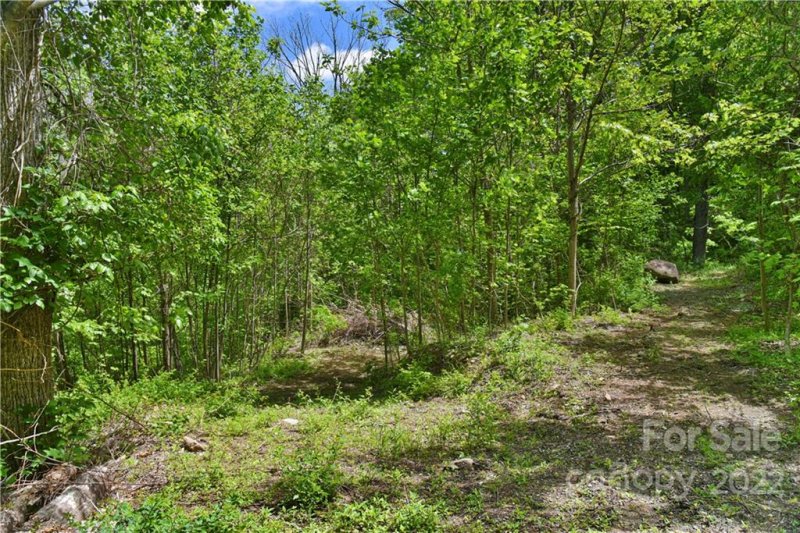 Property image 4 at 22 Chesten Mountain Drive, Asheville, NC 28803