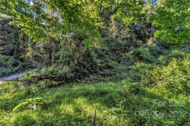 Property image 5 at 99999 Carroll Avenue, Asheville, NC 28801