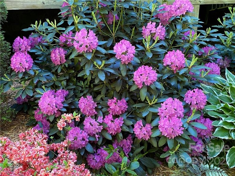 Property image 2 at 676 Henry Dingus Way, Maggie Valley, NC 28751