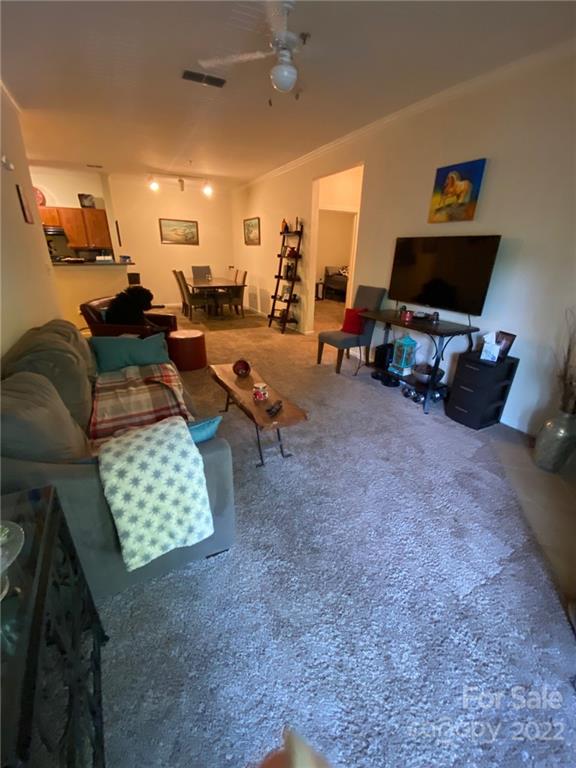 Property image 4 at 800 Vista Lake Drive, Candler, NC 28715