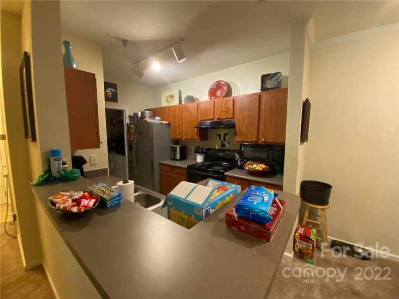 Property image 5 at 800 Vista Lake Drive, Candler, NC 28715