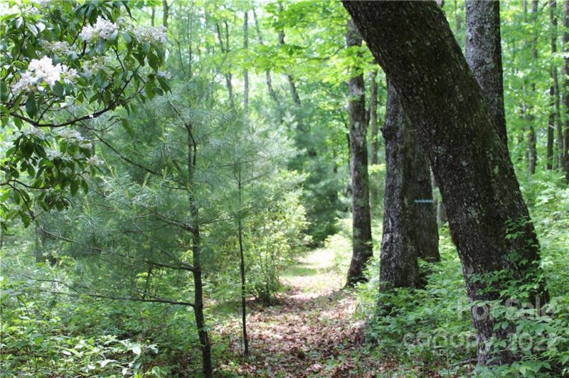 Property image 2 at 16 Big Branch Road, Brevard, NC 28712