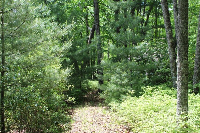 Property image 3 at 16 Big Branch Road, Brevard, NC 28712