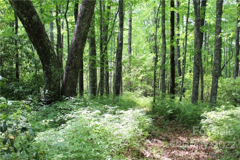 Property image 4 at 16 Big Branch Road, Brevard, NC 28712