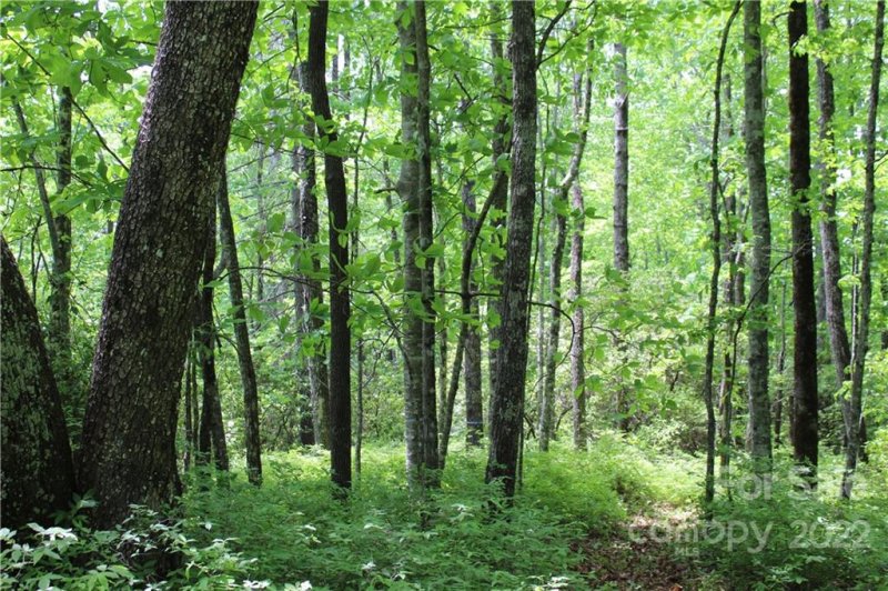 Property image 5 at 16 Big Branch Road, Brevard, NC 28712