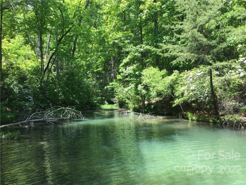 Property image 2 at 99999 Lake Wood Drive, Lake Lure, NC 28746