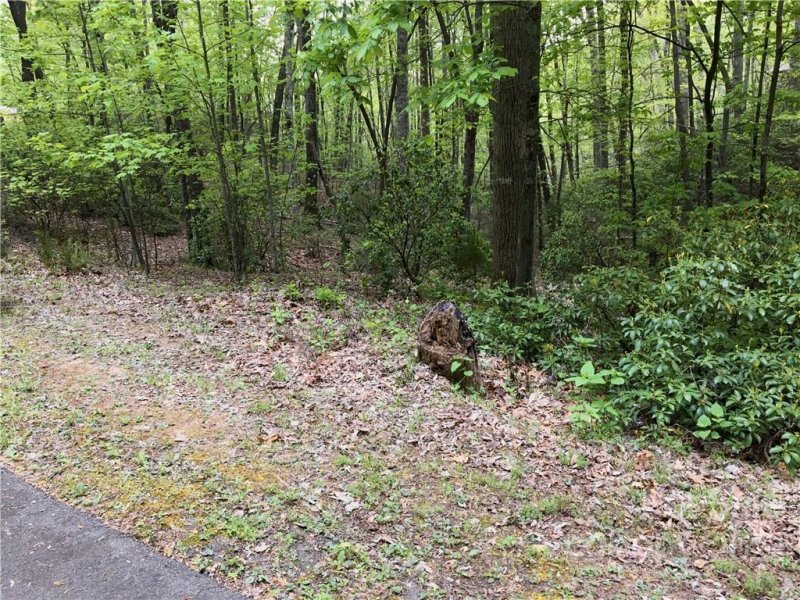 Property image 4 at 99999 Lake Wood Drive, Lake Lure, NC 28746