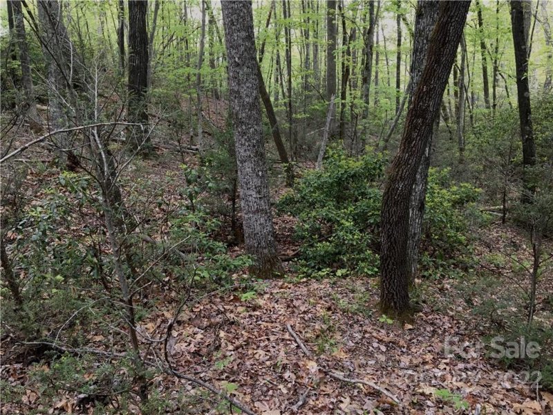 Property image 5 at 99999 Lake Wood Drive, Lake Lure, NC 28746