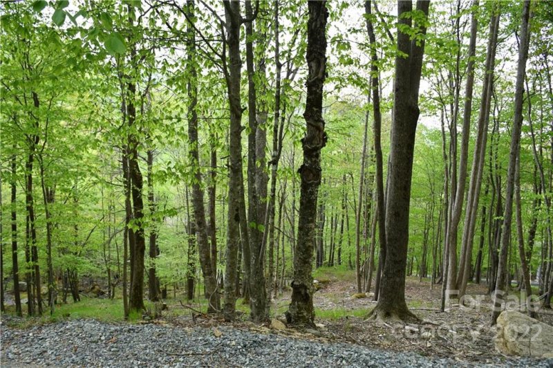 Property image 2 at 153 Hornbeam Road, Beech Mountain, NC 28604