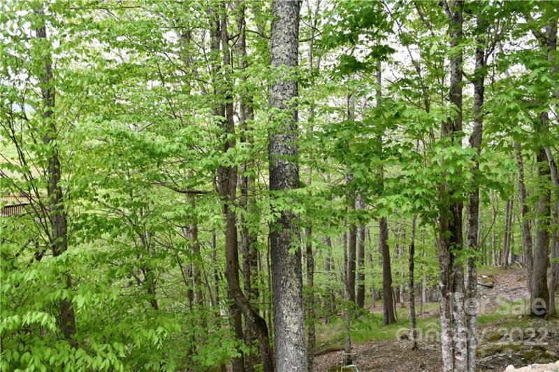 Property image 3 at 153 Hornbeam Road, Beech Mountain, NC 28604