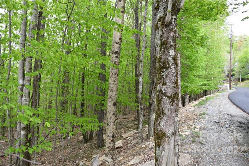 Property image 4 at 153 Hornbeam Road, Beech Mountain, NC 28604
