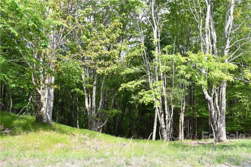 Property image 2 at 172 Wild Daisy Lane, Beech Mountain, NC 28604