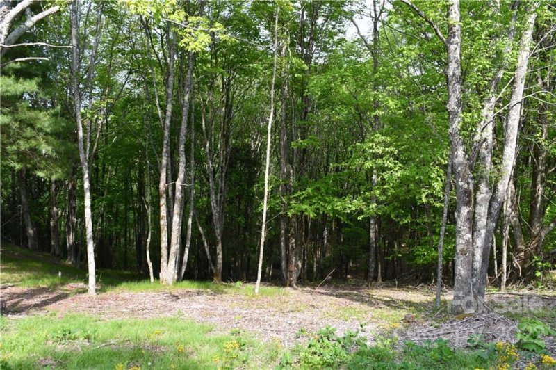 Property image 3 at 172 Wild Daisy Lane, Beech Mountain, NC 28604