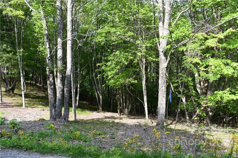 Property image 4 at 172 Wild Daisy Lane, Beech Mountain, NC 28604