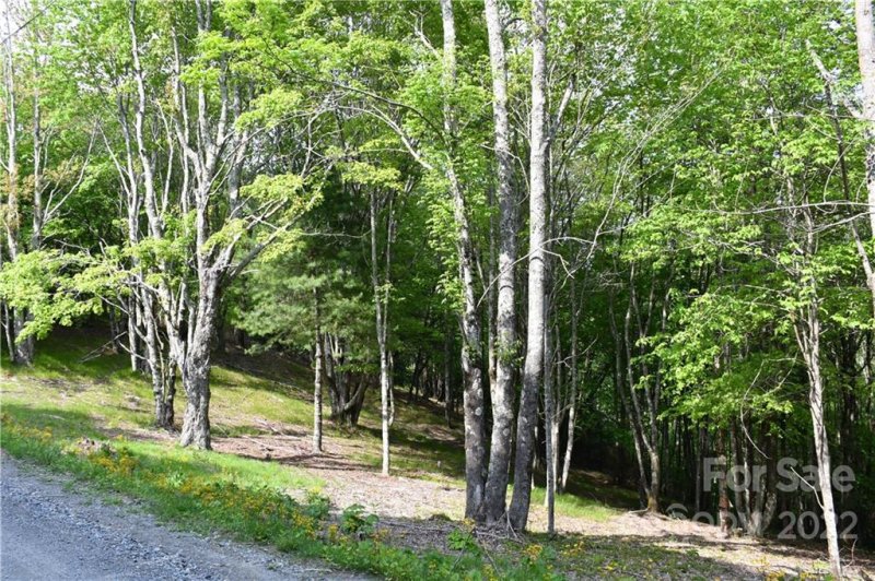 Property image 5 at 172 Wild Daisy Lane, Beech Mountain, NC 28604