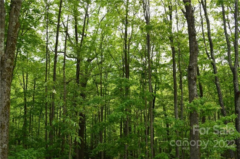 Property image 2 at 205 Locust Ridge Road, Beech Mountain, NC 28604