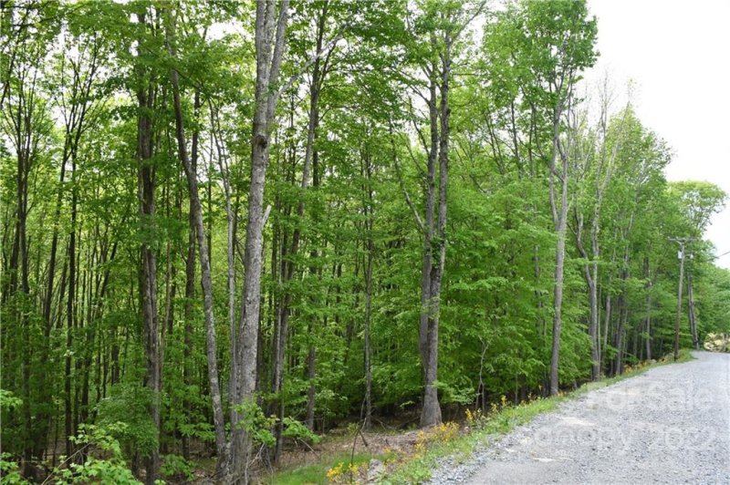 Property image 4 at 205 Locust Ridge Road, Beech Mountain, NC 28604