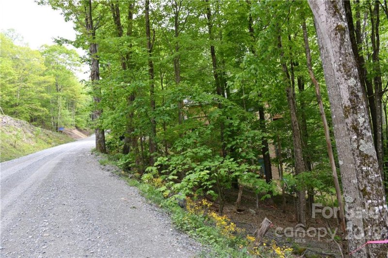 Property image 5 at 205 Locust Ridge Road, Beech Mountain, NC 28604