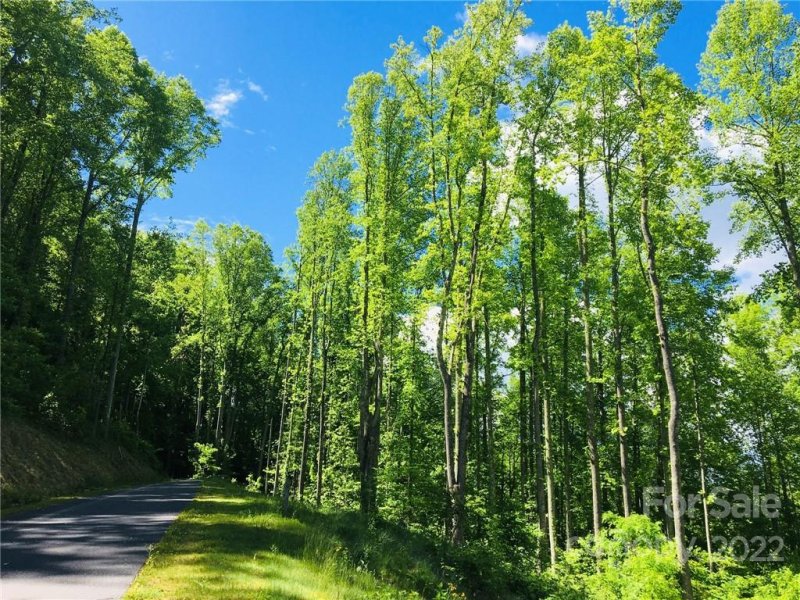 Property image 4 at 1412 Easy Wind Drive, Swannanoa, NC 28778