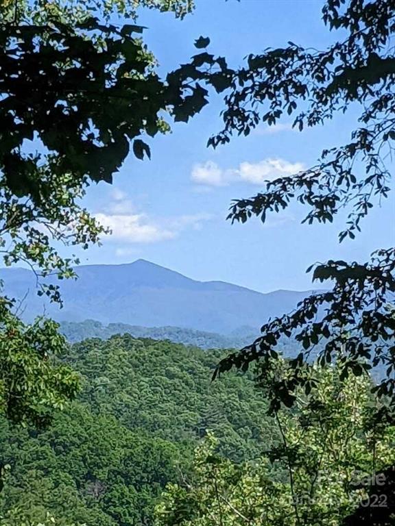 785 Running Deer Lane