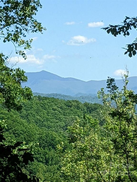 Property image 2 at 785 Running Deer Lane, Mars Hill, NC 28754