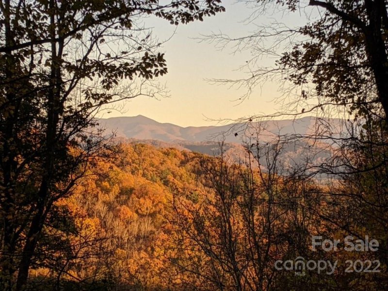 Property image 3 at 785 Running Deer Lane, Mars Hill, NC 28754