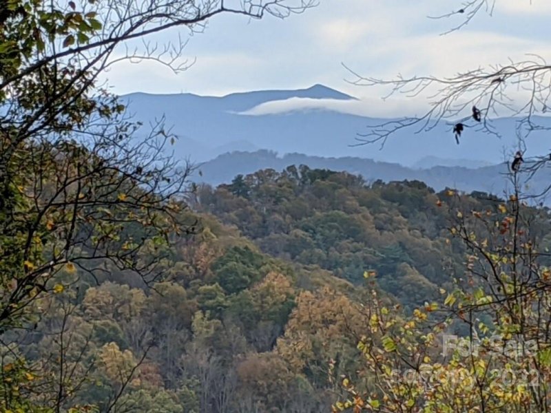 Property image 4 at 785 Running Deer Lane, Mars Hill, NC 28754