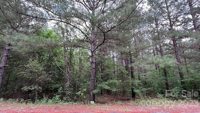 Property image 2 at Lot 215 Bitteroot Circle, Rutherfordton, NC 28139