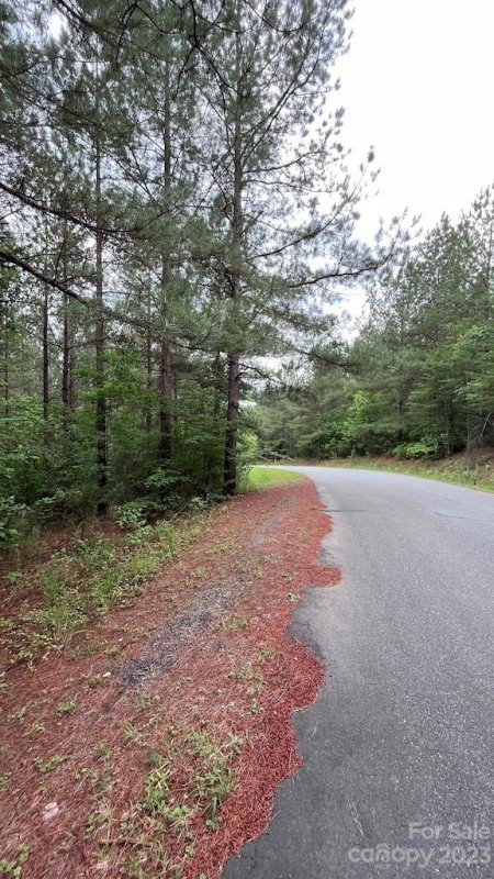 Property image 4 at Lot 215 Bitteroot Circle, Rutherfordton, NC 28139
