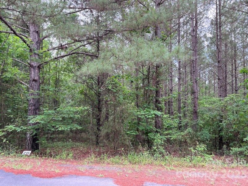 Property image 5 at Lot 215 Bitteroot Circle, Rutherfordton, NC 28139