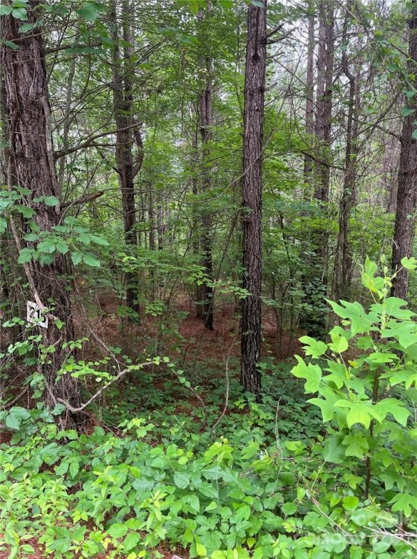 Property image 4 at Lot 216 Bitteroot Circle, Rutherfordton, NC 28139