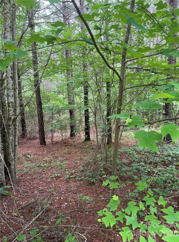 Property image 5 at Lot 216 Bitteroot Circle, Rutherfordton, NC 28139