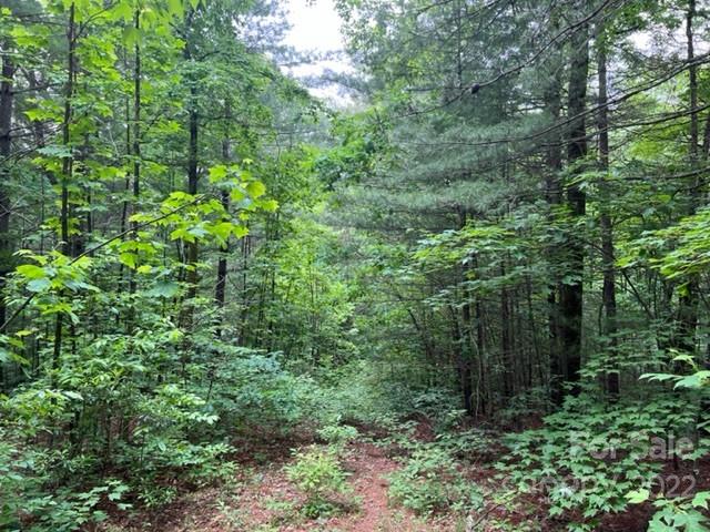 Property image 2 at 0000 Silverstone Drive, Hendersonville, NC 28792