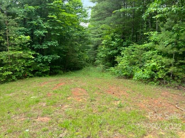 Property image 3 at 0000 Silverstone Drive, Hendersonville, NC 28792