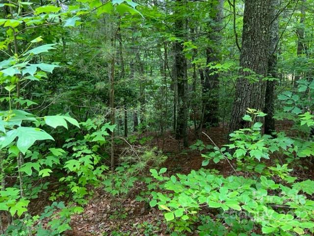 Property image 4 at 0000 Silverstone Drive, Hendersonville, NC 28792